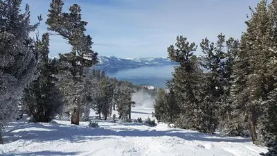 a snow covered slope with trees and a lake at 2BR Mins to Alpine Base Area Palisades! in Alpine Meadows