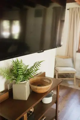 a living room with a tv and a table with a plant at Redwood Grove in Sequoia and Kings Canyon National Park in Wilsonia