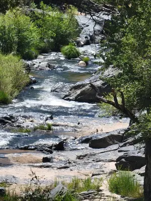 a stream of water with rocks and trees at Loyah Cabin in Ahwahnee