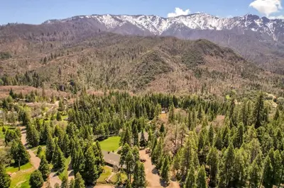 an aerial view of a forest of trees and mountains at Bear's Den @CN Lodge #5 in Ponderosa