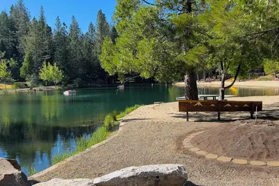 a park bench under a tree next to a lake at Fire Pit, Near Lake Evergreen Escape in Arnold in Arnold