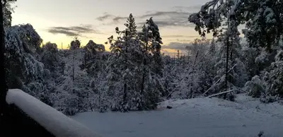a snow covered forest with trees with the sun setting at Starlink Mariposa Yosemite mountain retreat in Mariposa