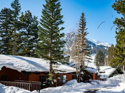 a cabin in the snow with trees and mountains at Canyon Lodge properties by 101 Great Escapes in Mammoth Lakes