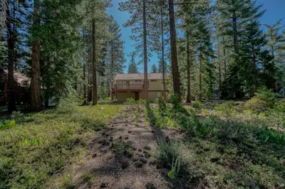 a house in the middle of a forest at Modern 3BR Carnelian Bay Retreat in Carnelian Bay