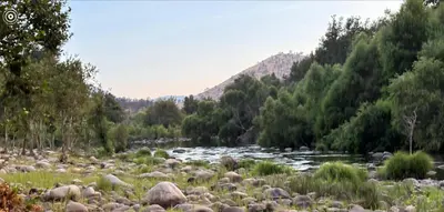 a river with a bunch of rocks and trees at Sequoia River Front Cabins in Three Rivers