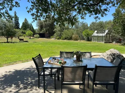 a blue table with chairs and a dog in a field at Private Country Home Near Downtown - Sonora in Sonora