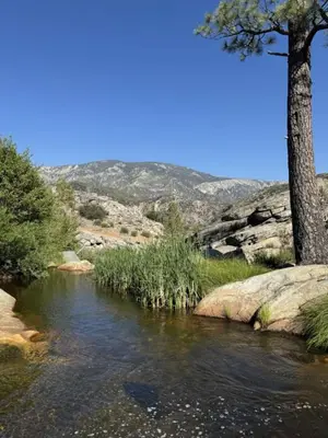 a river with a tree in the middle of it at Peppermint Falls Ranch in Ponderosa