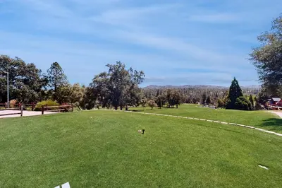 a dog standing in a field of green grass at Above the Green in Groveland