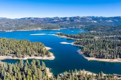 an aerial view of a lake in the woods at Leopard Lily Lodge Luxe Stays 2 Suites AC in Shaver Lake