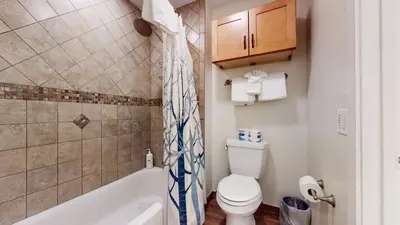 a bathroom with a toilet and a shower curtain at Summit #48 condo in Mammoth Lakes