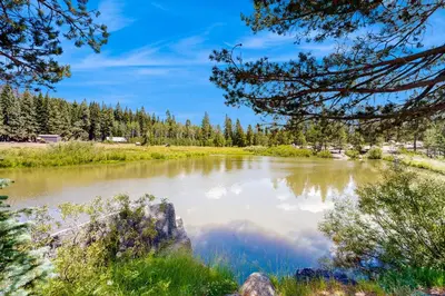 a river in a field with trees in the background at 10 Mi to Bear Valley Resort Serene Mtn Retreat in Tamarack