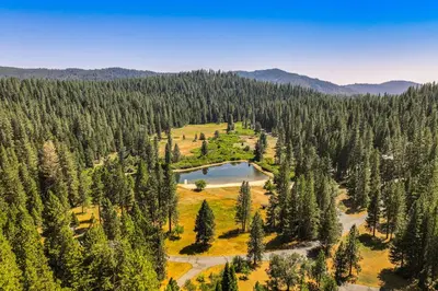 an aerial view of a forest with a lake at California Mountain Cabin with Lake Access and Deck! in Long Barn
