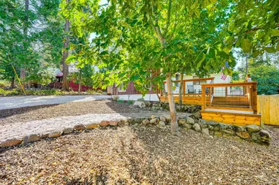 a tree and a bench in front of a house at Hike, Ski and Fish Charming Cabin in Twain Harte! in Twain Harte