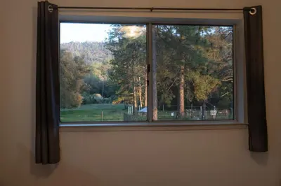 a window with a view of a tree at Pool-GameRoom-HomeTheater-Bar-PlayStructure-FirePit in Oakhurst