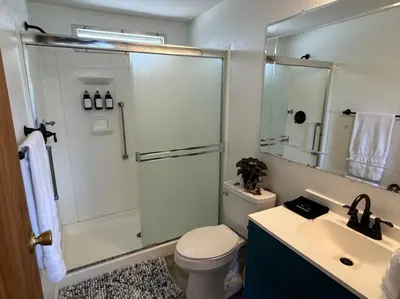 a bathroom with a shower and a toilet and a sink at Manzanita Hideaway Hot Tub Sunset views Yosemite in Ahwahnee