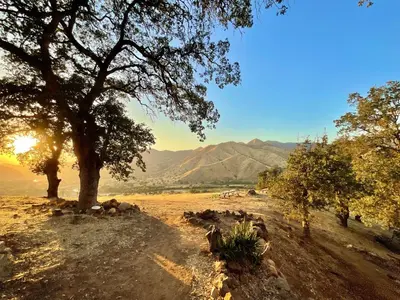 a tree in the middle of a field with the sunset at Spacious sequoia Park retreat, best panoramic views in Three Rivers