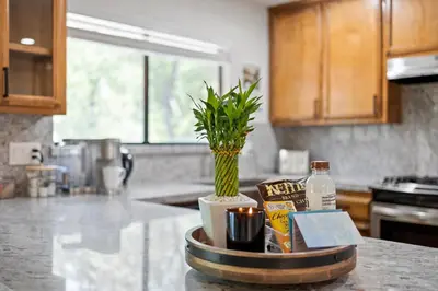 a kitchen counter top with a plant in a vase at Peaceful Creekside Buddha Retreat in Groveland