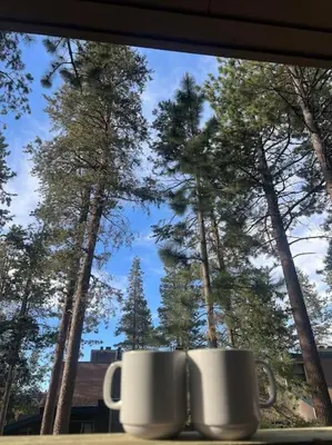 two coffee cups sitting on a window sill in front of trees at The Pad at South Lake Tahoe in Bijou Park