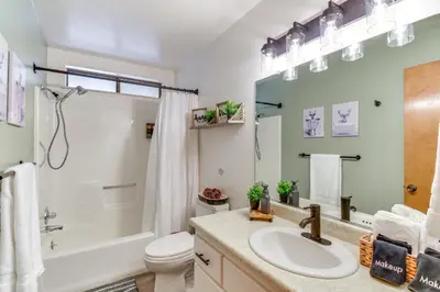 a bathroom with a sink and a shower and a toilet at 1 Mi to Pine Mountain Lake Marina Yosemite Cabin! in Groveland