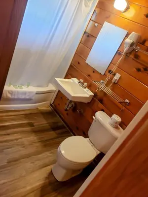 a bathroom with a toilet and a sink at Big Meadow Lodge in Bridgeport