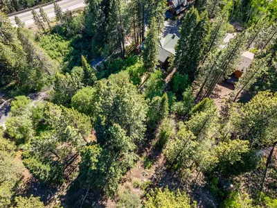 an overhead view of a forest of trees at Do not miss your chance to vacation at this five bedroom 5 bath mountain home in Incline Village
