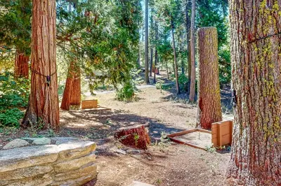 a forest with two trees and a stone wall at Tranquil Pines Retreat in Shaver Lake
