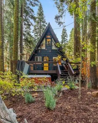 a black cabin in the woods with trees at The Sugar Pine Speakeasy in Homewood
