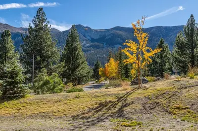 a tree on a hill with mountains in the background at Creekhouse 1374 in Mammoth Lakes