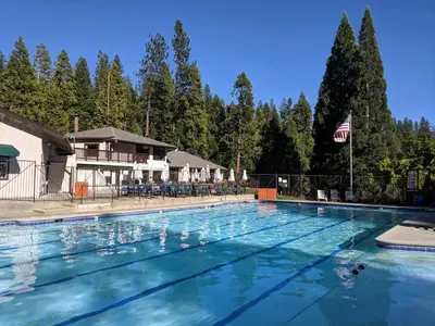 a large swimming pool with trees in the background at Happy Cabin Near Snow and Lake with Hot Tub, Dogs OK in Tahoe Vista