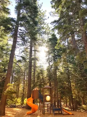 a playground in the woods with a slide at Tahoe City Retreat Forest Views and Fireplace in Tahoe City