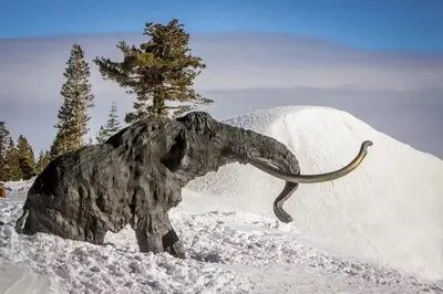 a statue of an animal in the snow at Sierra Park Villas 56 L in Mammoth Lakes