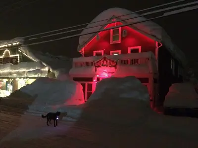 a dog walking in front of a red house at night at West River House in Truckee
