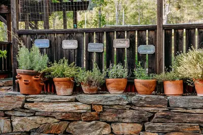 a bunch of potted plants sitting on a stone wall at Oak Meadows House - A unique home near Yosemite in Mariposa