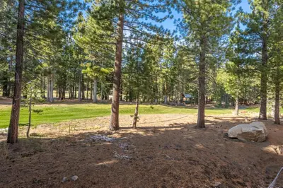 a park with trees and a large rock at Obsidian 170 in Mammoth Lakes