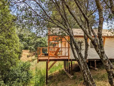 a tree house with a deck in the woods at Wildhaven Yosemite Glamping in Mariposa
