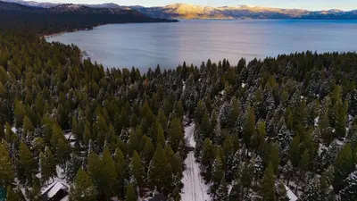 an aerial view of a forest of trees next to a lake at Peaceful Tahoe Retreat by AvantStay Cozy Modern Cabin • Sauna Hot Tub Fireplace • Near Lake in Carnelian Bay