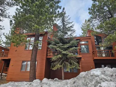 a large wooden house with a tree in front of it at Updated Mammoth condo on Red line in Mammoth Lakes