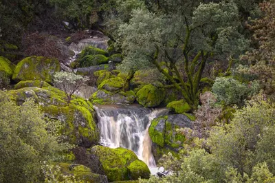 a waterfall in a forest with rocks and trees at Sierra Vista Near Yosemite #Majestic Views# Tesla EV in Oakhurst