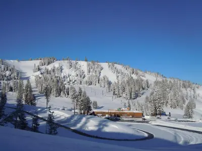 a train on a snow covered mountain with trees at Well Kept Condo CS#3 - Pets OK in Bear Valley