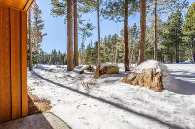 a snow covered yard with trees and a house at Obsidian 210 in Mammoth Lakes