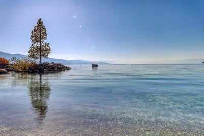 a tree in the middle of a body of water at The Pines Chalet in Incline Village