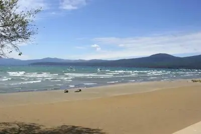 a beach with some animals sitting on the sand at Spacious Tahoe Hot Tub and Beach in Kings Beach