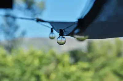 two droplets of water hanging from the wing of a car at Rare Deluxe Family Cabin - Yosemite & Bass Lake in Bass Lake Annex