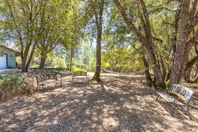 two park benches sitting in the shade of trees at Cody's Comfy Cabin- Near Yosemite in Mariposa