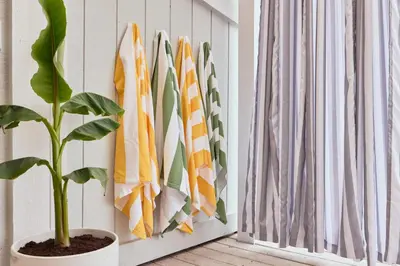 a plant in a pot next to a window with umbrellas at Marlin Cove Pet Friendly Waterfront Retreat in Discovery Bay