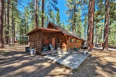 a log cabin in the middle of a forest at Hank Monk Chalet 2730HM in South Lake Tahoe