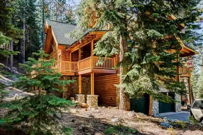 a log cabin in the woods with a tree at Tahoe Moose Lodge 1170AC in South Lake Tahoe