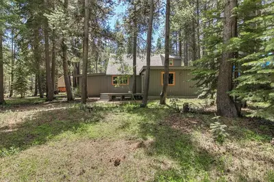 a cabin in the woods with a bench in the yard at Miztec Mountain - Ping pong & basketball hoop game in South Lake Tahoe