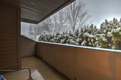 a room with a window with a snow covered bush at Lakeland Studio - Walk to Casinos, Restaurants And Gondola in South Lake Tahoe