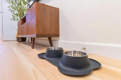two bowls on the floor next to a piano at Emerald Escape - UNR & Pet Friendly in Reno